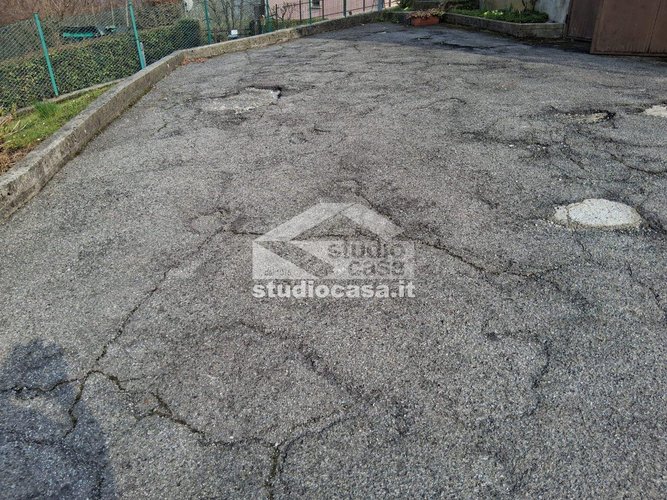 IMMERSA NEL VERDE! Bedulita