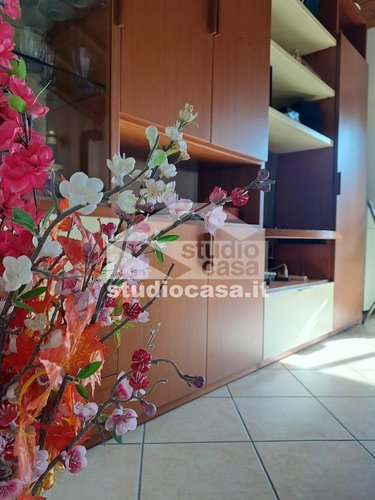 DI RECENTE COSTRUZIONE! Cusio