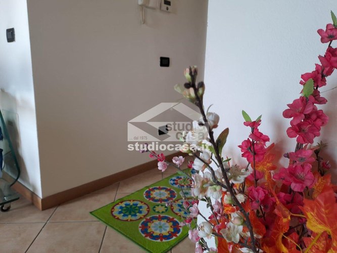 DI RECENTE COSTRUZIONE! Cusio