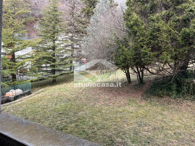 INTROVABILE! Piazzatorre