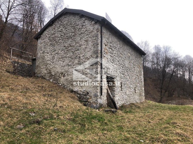 IMMERSO NEL VERDE! Taleggio