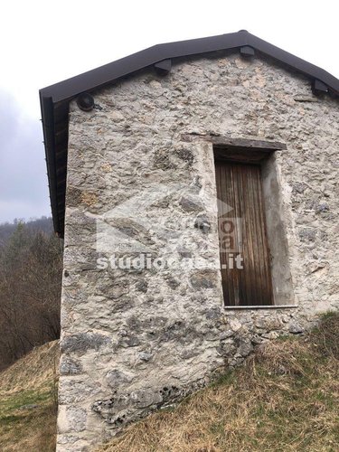 IMMERSO NEL VERDE! Taleggio