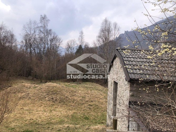 IMMERSO NEL VERDE! Taleggio