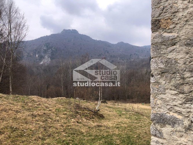 IMMERSO NEL VERDE! Taleggio