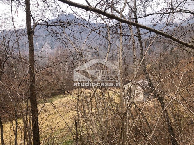 IMMERSO NEL VERDE! Taleggio