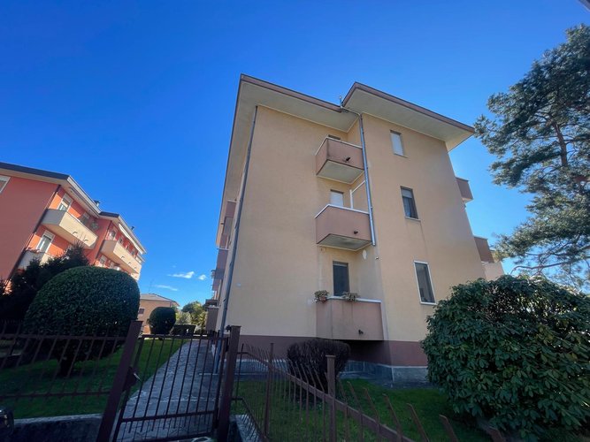 Semi-centrale - 7/26 Cantù