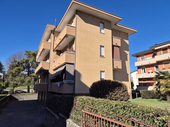 Semi-centrale - 7/26 Cantù