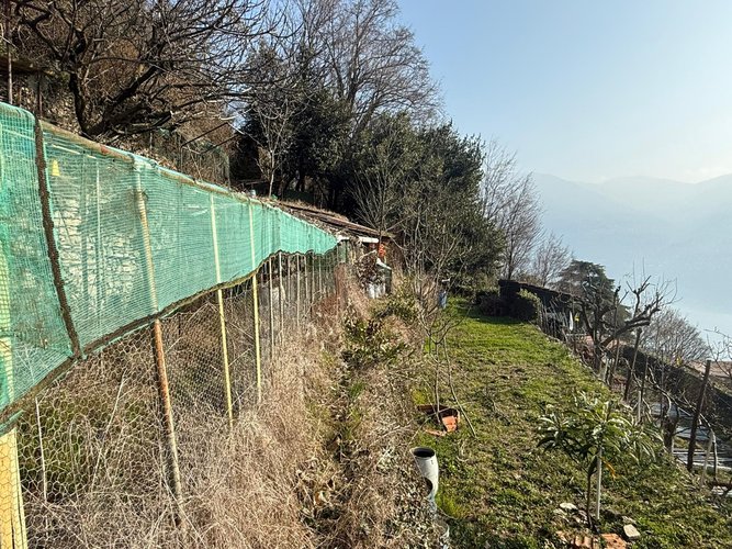 MOLTRASIO (7/26) Moltrasio