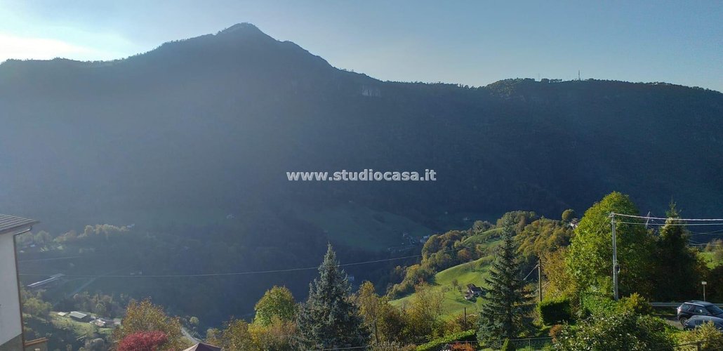 OTTIMA SOLUZIONE! Dossena