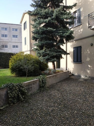 Appartamento 2 locali - Rif. 213