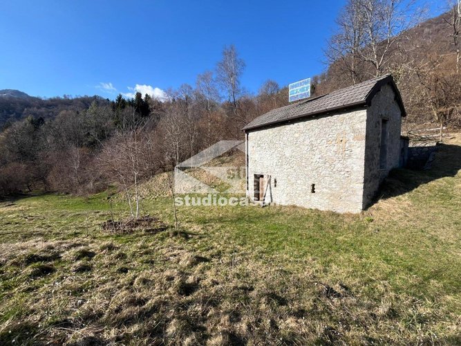 IMMERSO NEL VERDE! Taleggio