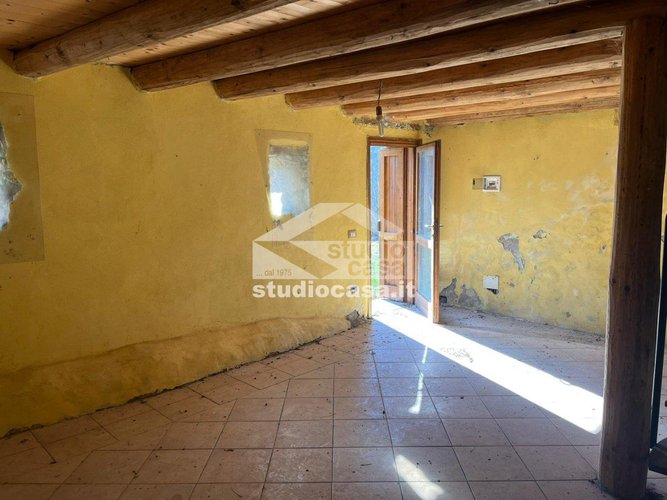 IMMERSO NEL VERDE! Taleggio