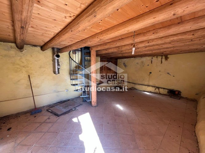 IMMERSO NEL VERDE! Taleggio