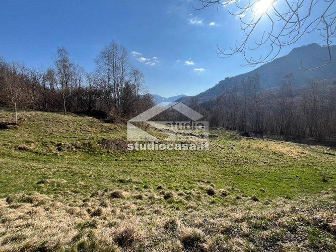 IMMERSO NEL VERDE! Taleggio