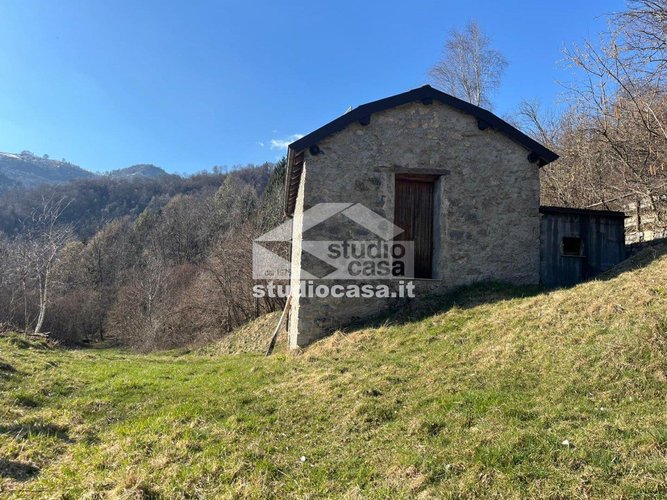 IMMERSO NEL VERDE! Taleggio