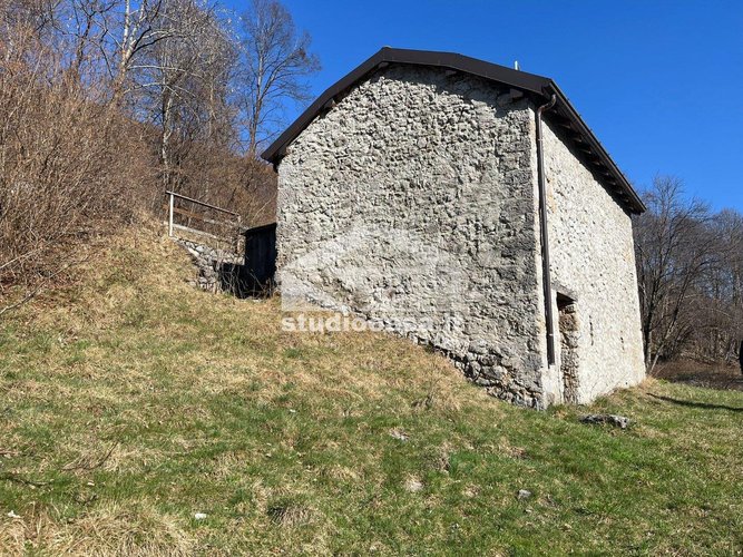 IMMERSO NEL VERDE! Taleggio