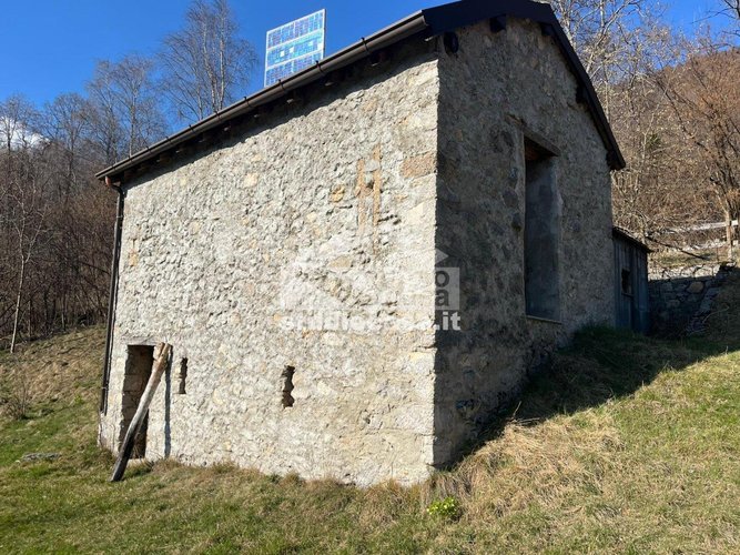 IMMERSO NEL VERDE! Taleggio