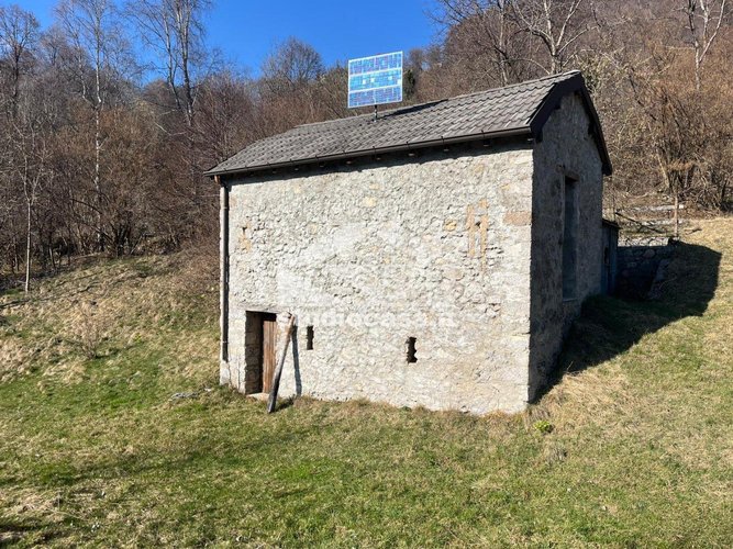 IMMERSO NEL VERDE! Taleggio