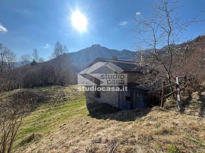 IMMERSO NEL VERDE! Taleggio