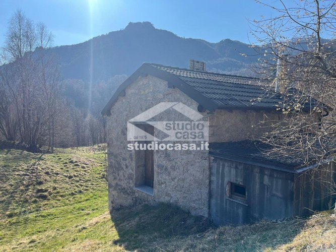 IMMERSO NEL VERDE! Taleggio