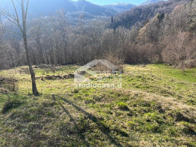 IMMERSO NEL VERDE! Taleggio