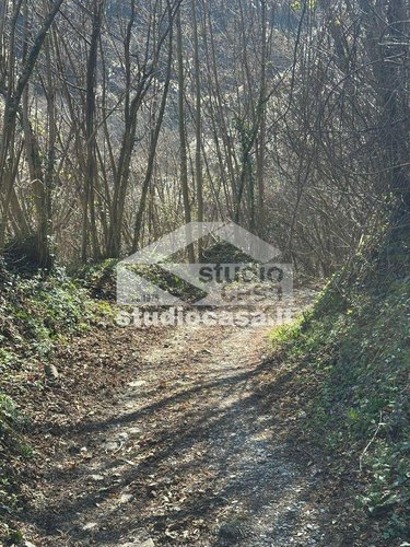 VISTA SUPER PANORAMICA! Camerata Cornello