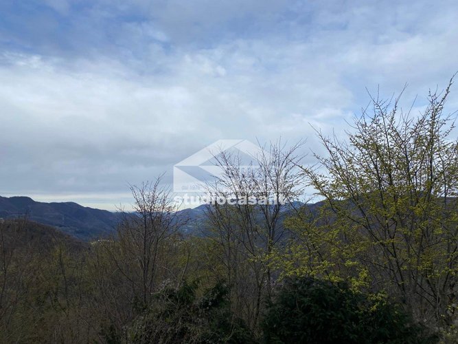 VISTA SPAZIALE! Zogno