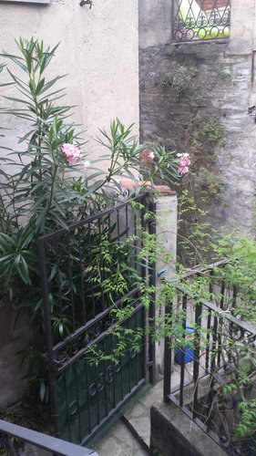 Casa Semindipendente 2 locali - Rif. 283 Blevio