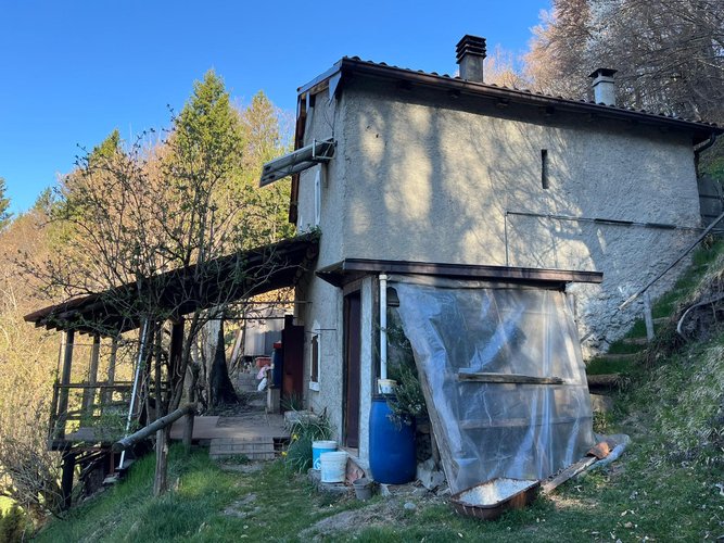 PER GLI AMANTI DELLA NATURA! Dossena