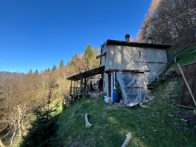 PER GLI AMANTI DELLA NATURA!