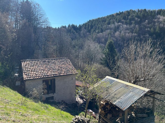PER GLI AMANTI DELLA NATURA! Dossena