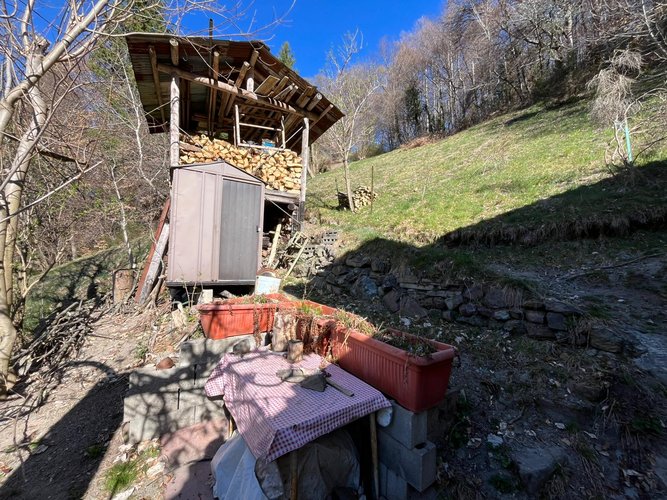 PER GLI AMANTI DELLA NATURA! Dossena