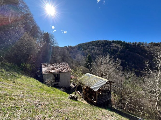 PER GLI AMANTI DELLA NATURA! Dossena