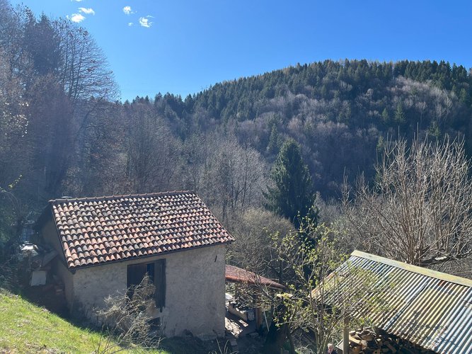PER GLI AMANTI DELLA NATURA! Dossena