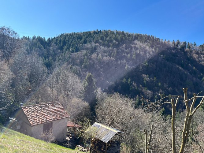 PER GLI AMANTI DELLA NATURA! Dossena