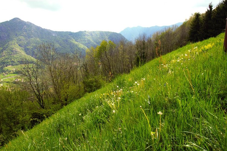 Dossena porzione cascinale con terreno Dossena