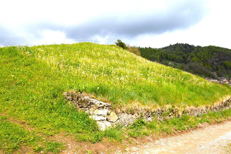 Dossena porzione cascinale con terreno Dossena