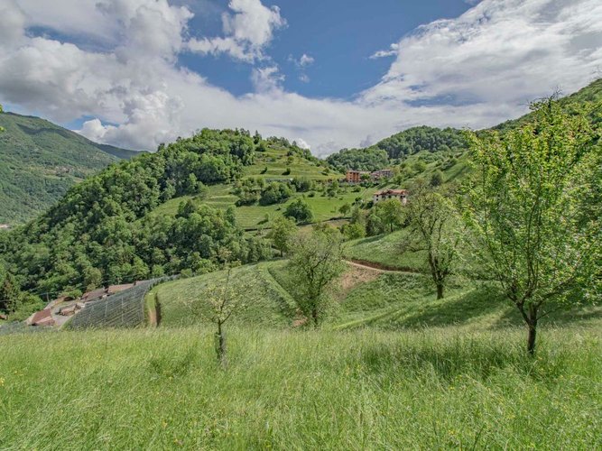 Sedrina, meraviglioso rustico singolo in pietra Sedrina