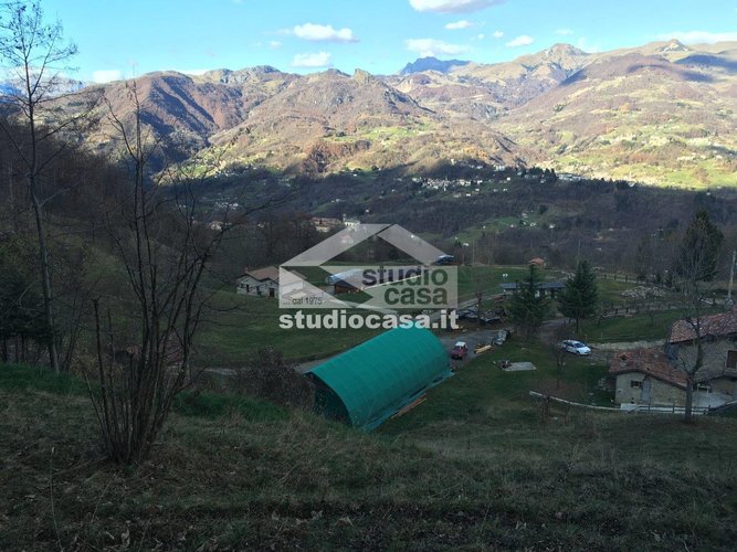 IMMERSO NEL VERDE! Taleggio