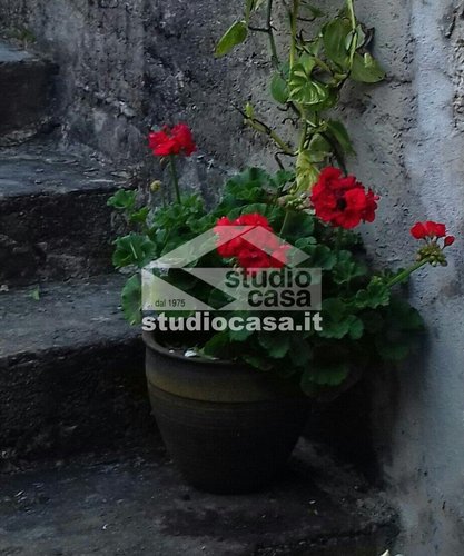 IDEALE B&B!! Bracca